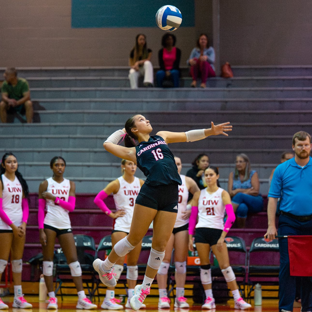 Ashton Rogers athlete profile head shot